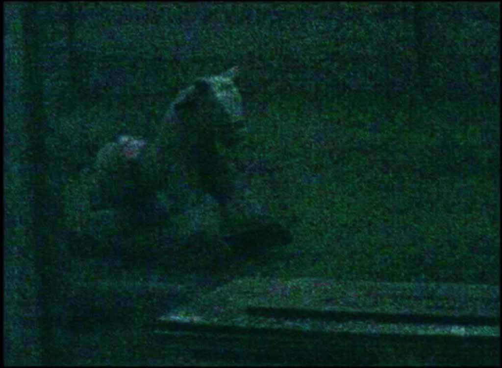 A grainy video still of a rocking horse, deserted in a garden, taken at dawn